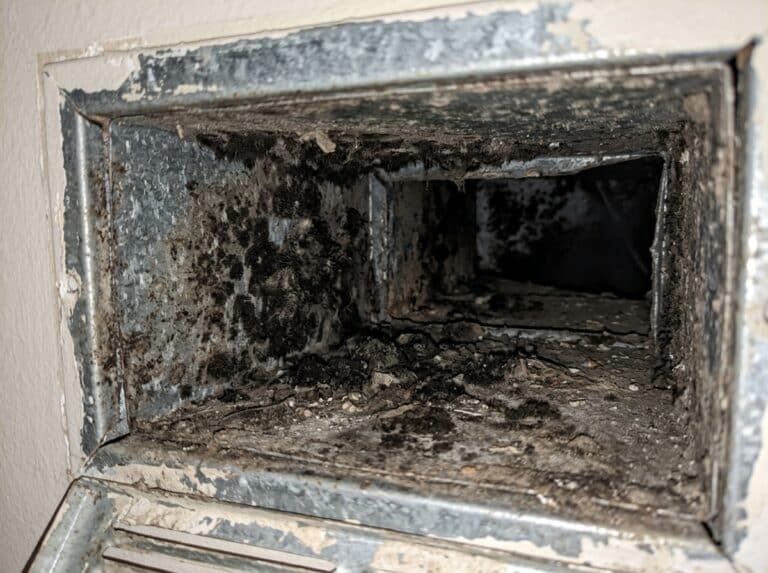 mold in vents removal
