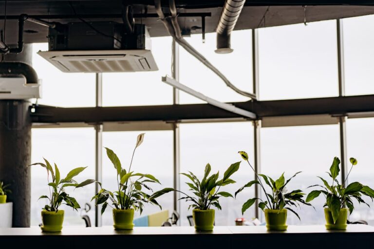 improve indoor air quality