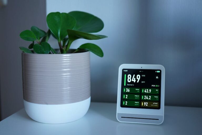 tips to improve indoor air quality