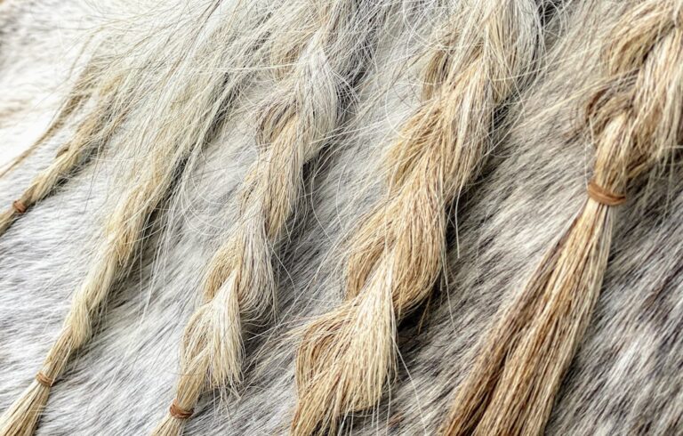 pet hair hvac filter
