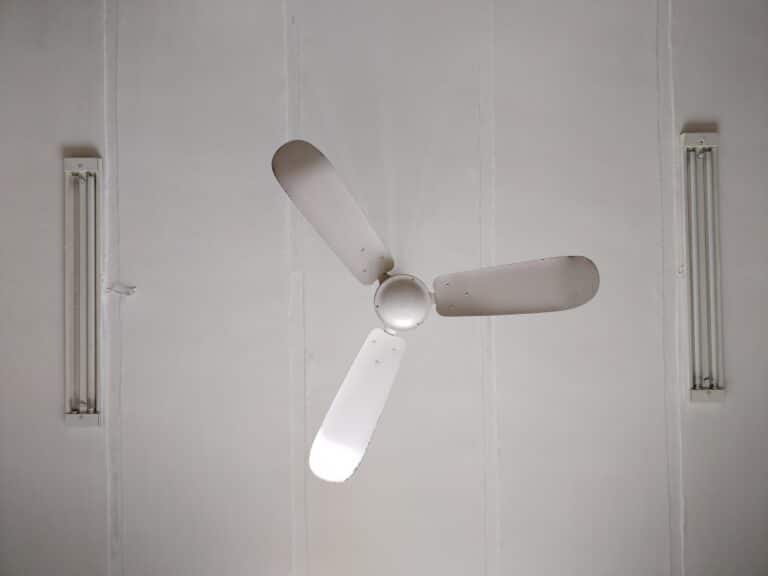 ceiling fan cleaner