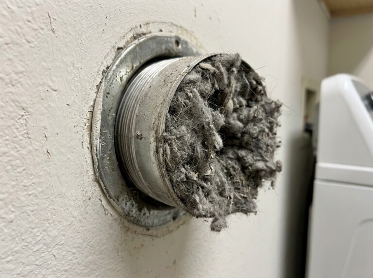 dirty dryer vent