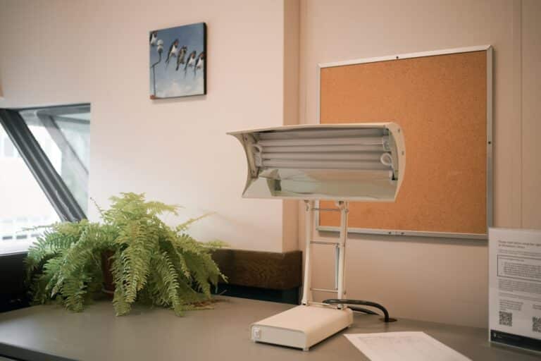 air purifier plants for office